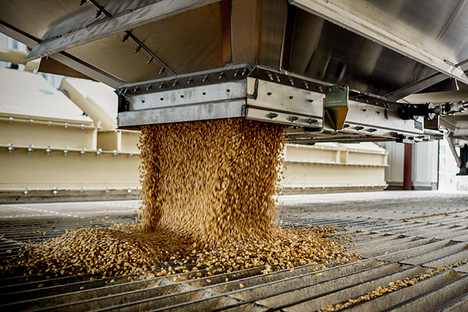 Photo of grain being dumped into a grain receiving pit