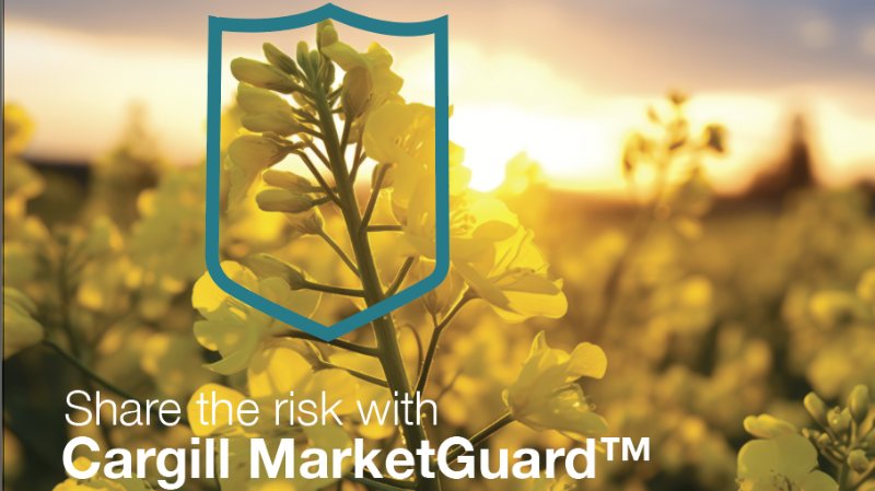 MarketGuard promo image